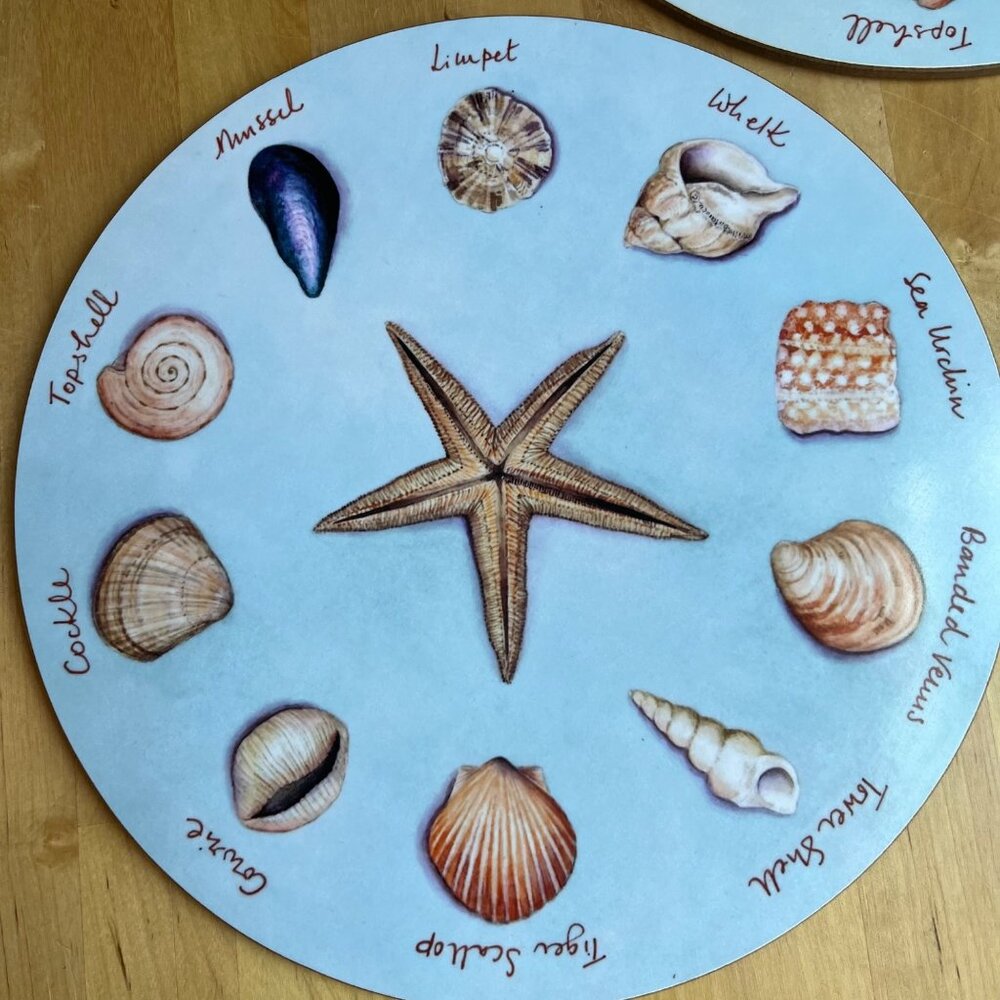Club Matters 10"  Seashell Table Mat Charger Trivet Set Scully England - Picture 4 of 9